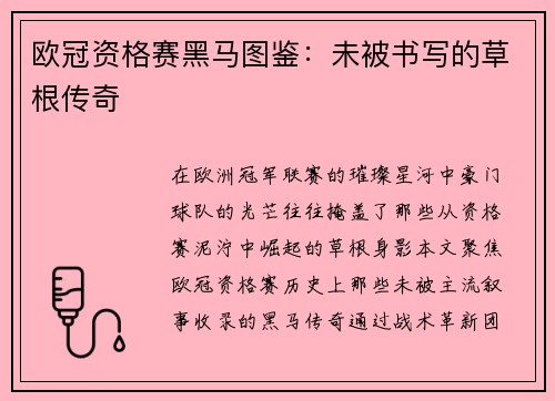 欧冠资格赛黑马图鉴：未被书写的草根传奇