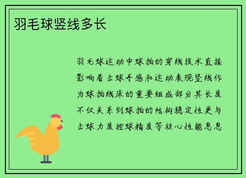 羽毛球竖线多长